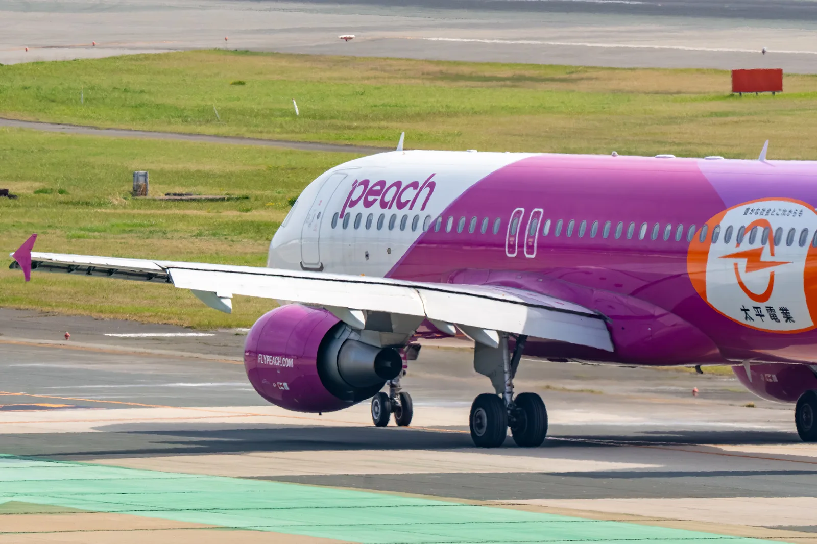特徴的な桃色の塗装が施された航空機を写したmomoの問題画像